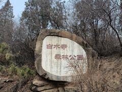 -白水寺森林公园