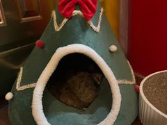-H立方实景剧情密室(天河旗舰店)