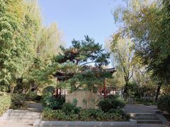 -武汉园博园(武汉自然博物馆)