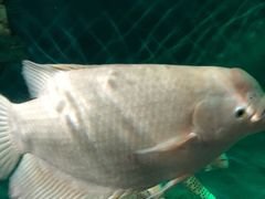 -泉州海丝野生动物世界