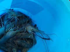 -光头佬钓虾场·烧烤·聚餐·亲子(金沙洲店)