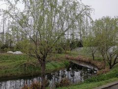 -前小桔亲子创意农场·草莓采摘·露营烧烤