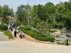 -阳台山自然风景区