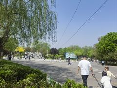 -石家庄市动物园