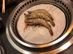 -熊出没日本烧肉放题