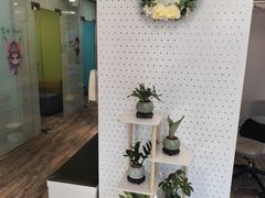 -新世界教育iVEE·英语日语西语(金桥校区)
