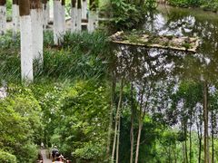 -桤木河湿地公园