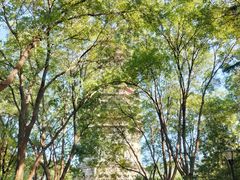 -玲珑塔公园