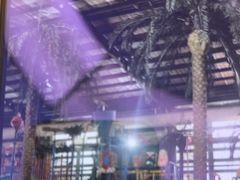 -南宫温泉水世界