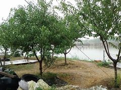 -西青郊野公园