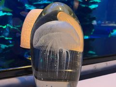 -迪拜帆船酒店海底餐厅