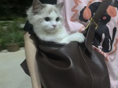 -泉州海丝野生动物世界