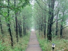 -东白山