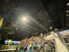 -国家自然博物馆