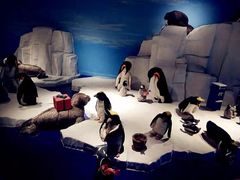 泰迪熊博物馆-成都泰迪熊博物馆