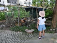 -锦江中华村农家乐饭庄