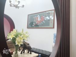 -凌氏生发养发馆