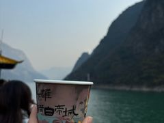 -白帝城·瞿塘峡景区