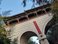 -西安曲江寒窑遗址公园