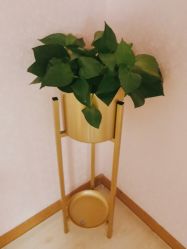 -薇兰专业脱毛连锁机构