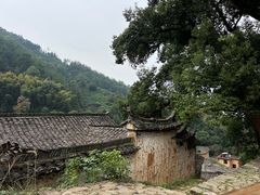 -杨家堂村