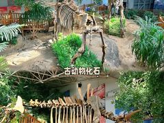 -中国第四纪冰川遗迹陈列馆