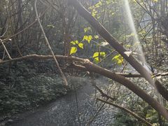 -桤木河湿地公园