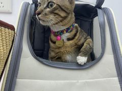 -拜鲁耶动物诊疗中心·宠家动物医院