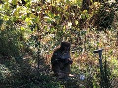 -重庆雨台山风景区