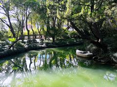 -上海醉白池公园
