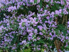 -杭州城北体育公园