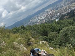 -长虫山生态公园风景林