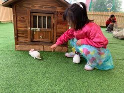 -萌宠亲子动物乐园(槐房万达店)