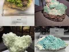 -湖南省地质博物馆