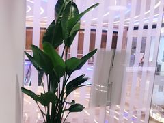 -LANN I 蘭 SPA(陆家嘴中心店)