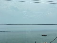 -阿军排档·烧烤