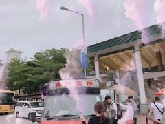 -富豪雪糕车流动点(尖沙咀店)