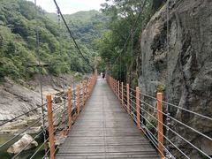 -燕子河大峡谷天坑仙境