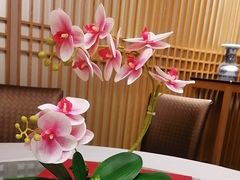 -博多新记·粤菜(复兴店)
