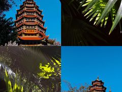 -铁山坪森林公园