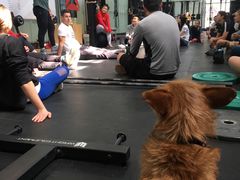 -CrossFit MeWellness