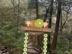 -大岭沟猕猴桃谷风景区