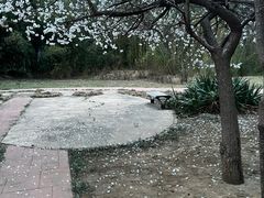 -悦宠动物医院(京丰分院)