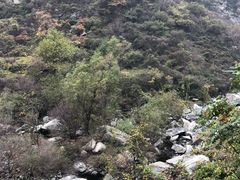 -少华山国家森林公园