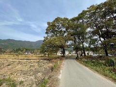 -塔川景区