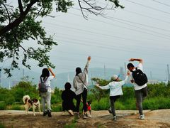 -白水寺森林公园