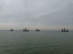 -贡湖湾湿地公园