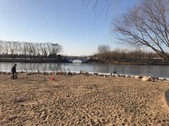 -大兴滨河森林公园