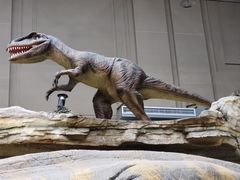 -国家自然博物馆