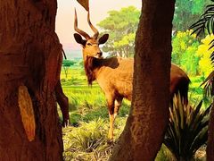 -国家自然博物馆